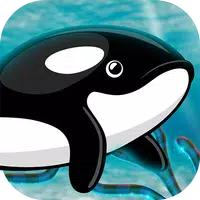 Orca Fish Home Adventure