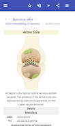 Screenshot Neurophysiology 4