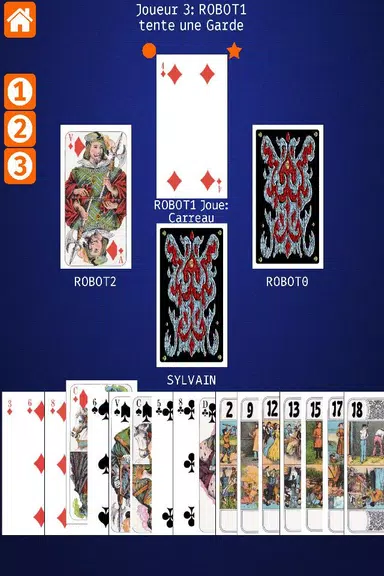 Net.Tarot screenshot 3