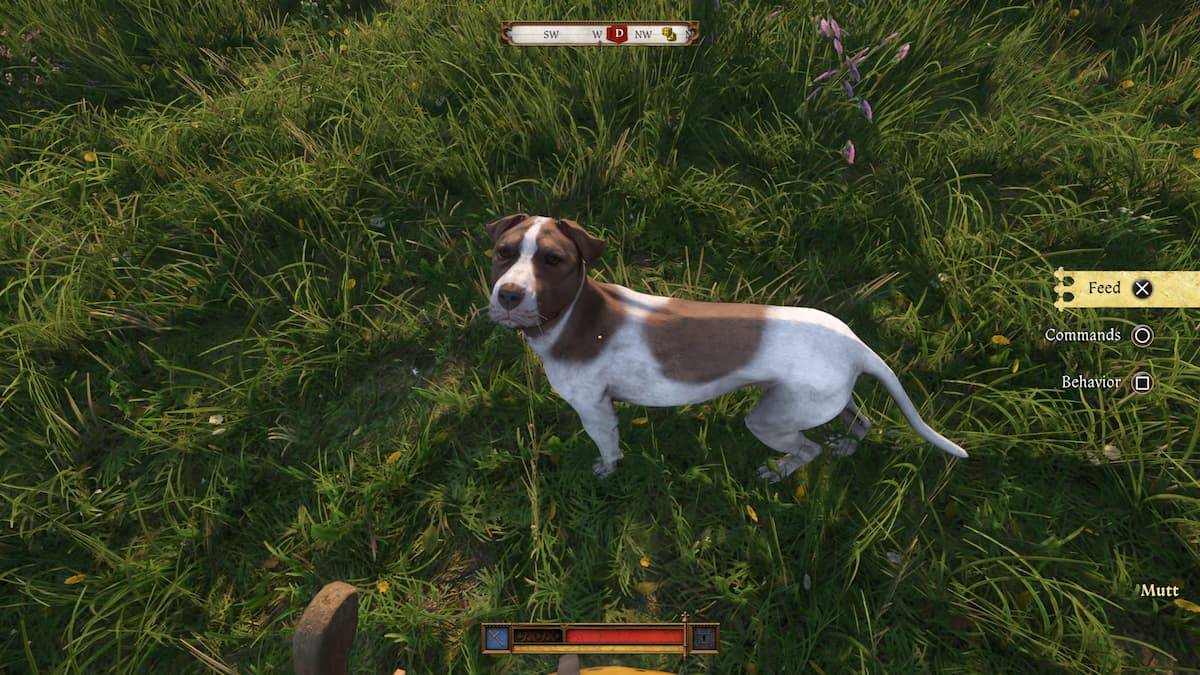 Kingdom Come Derverance 2のMuttを簡単に見つけます