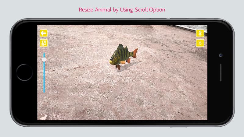 Animal in Ar Screenshot 4