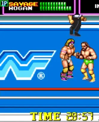 WWF Superstars of Wrestling Cl screenshot 1