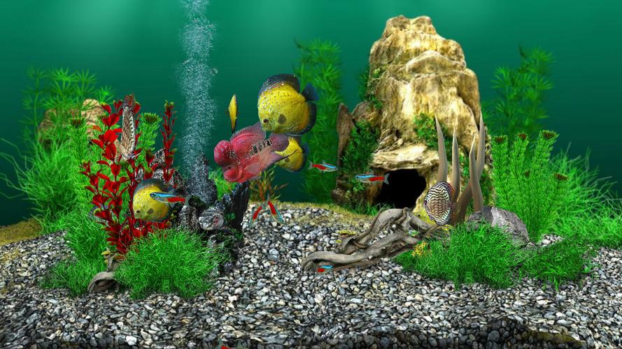 AquaLife 3D screenshot 4