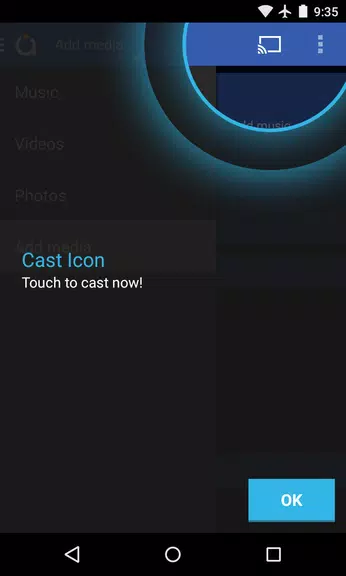 Avia Media Player (Chromecast)スクリーンショット3
