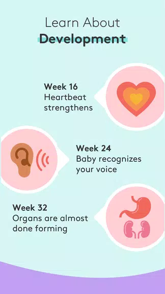 Pregnancy Tracker & Baby App Screenshot 3